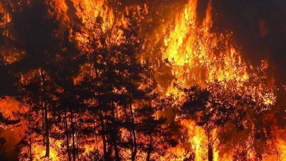 Feuer nähert sich Urlaubsgebieten: Deutsche Touristen in Antalya fürchten um ihr Leben, Bundesregierung muss handeln