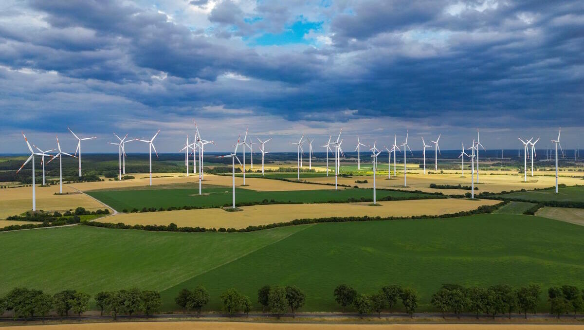 Energiewende: WWF-Ranking sieht Brandenburg ganz vorn