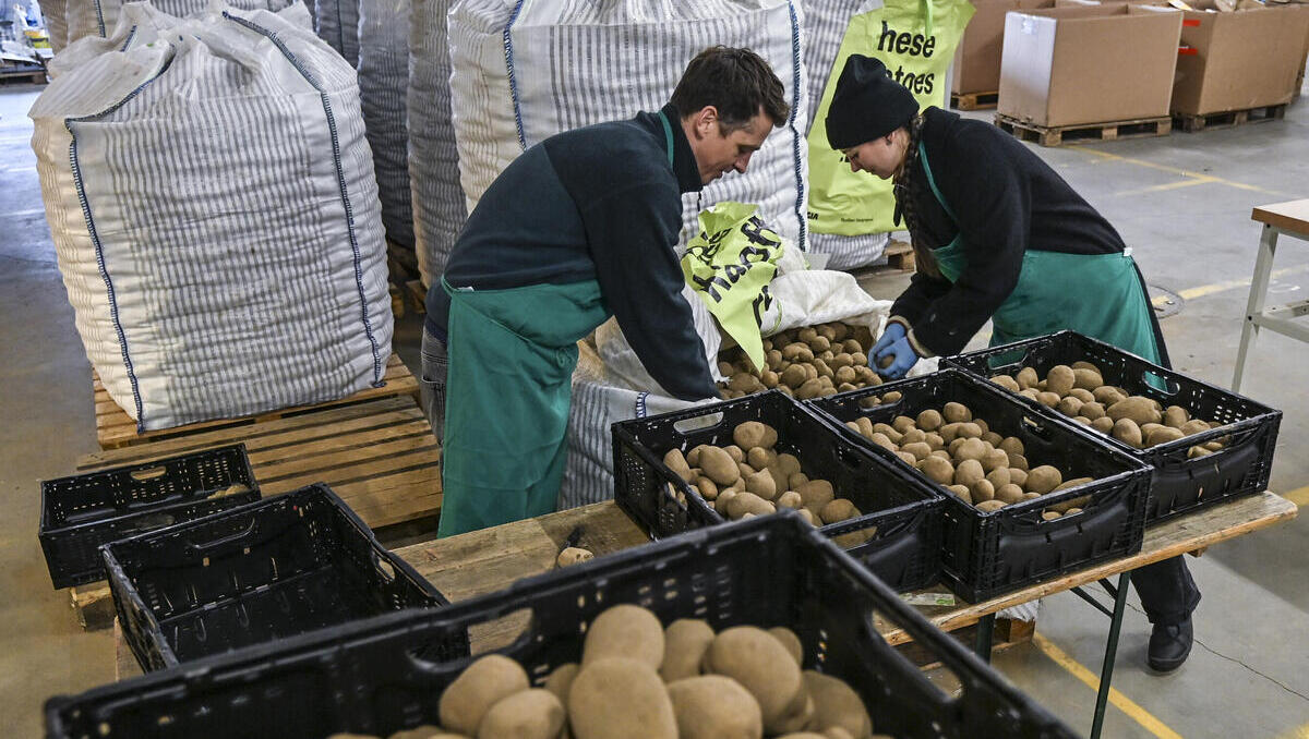 Deutschland: Erzeugerpreise gehen kaum noch zurück - Iran-Krieg zeigt Folgen