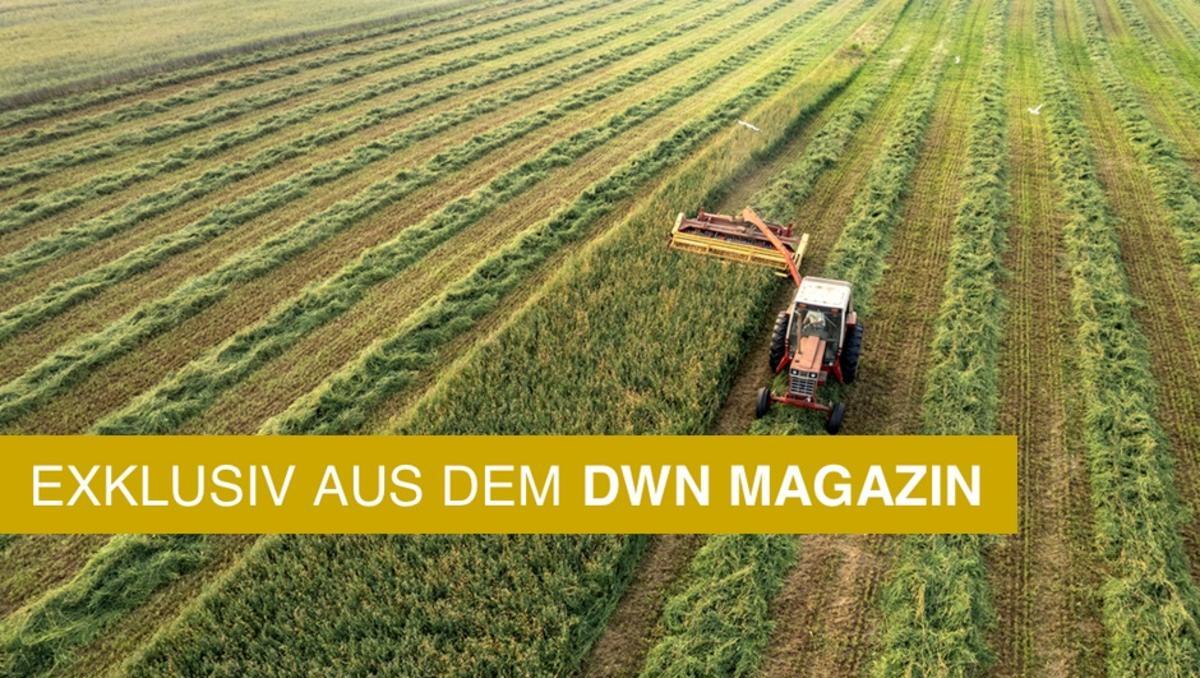 Landwirtschaftssubventionen unter der Lupe: Wohin fließen die Milliarden?