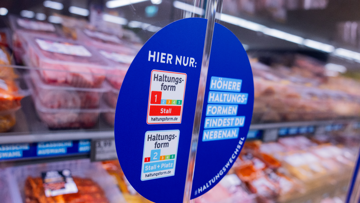 ALDI Süd zieht Konsequenzen: Schluss mit Billigfleisch aus niedrigster Haltungsform