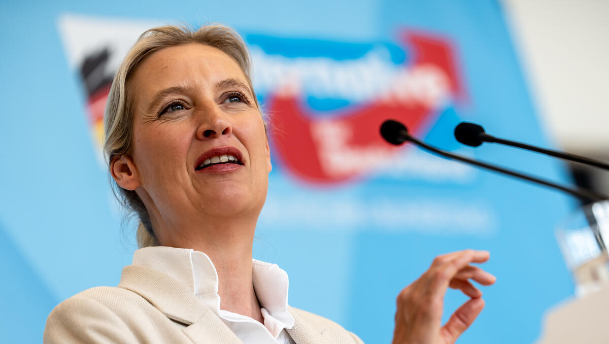 AfD-Erfolge alarmieren Extremismusforscher Botsch: AfD-Zustimmung wächst trotz Radikalisierung
