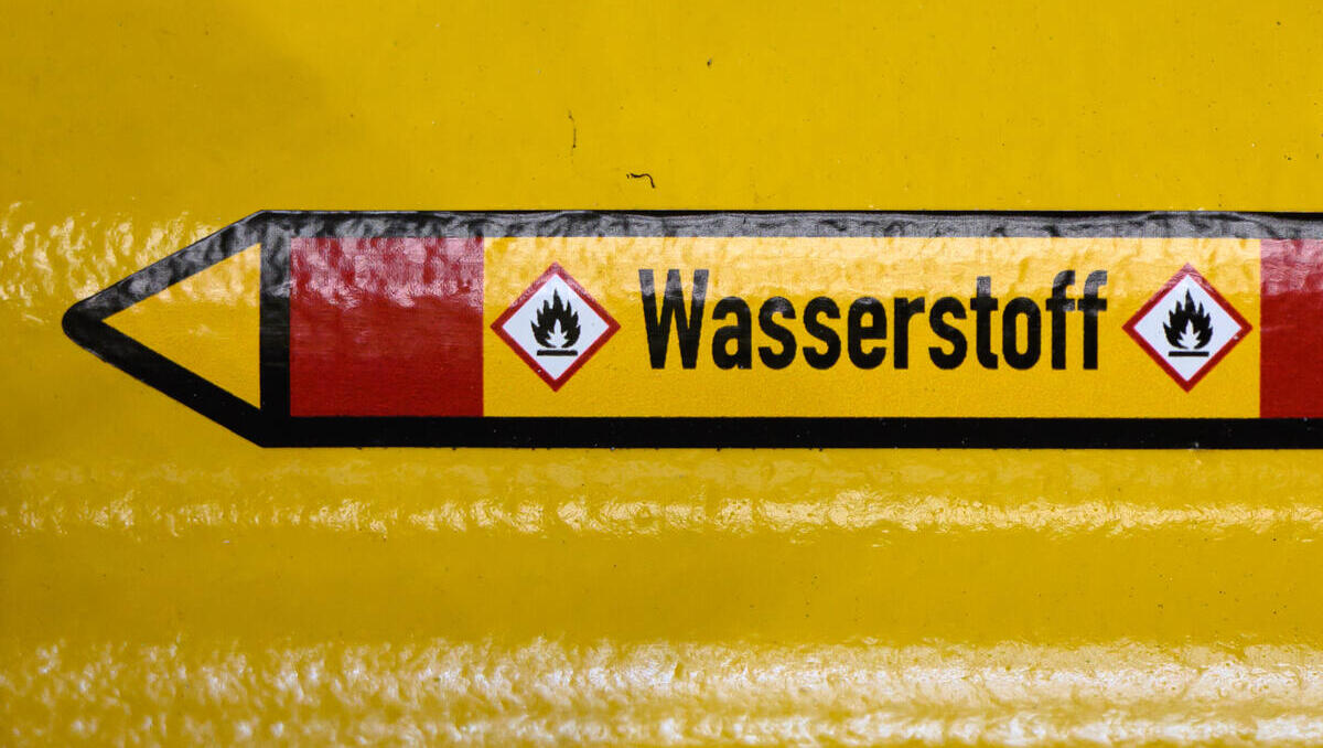 Energieriese warnt vor Wasserstoff-Kollaps