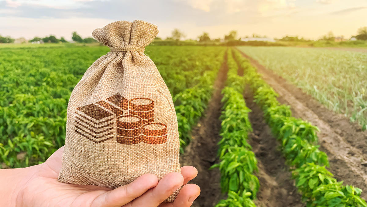 Agrar-ETFs: Sinnvolles Investment in die Ernährung der Zukunft?