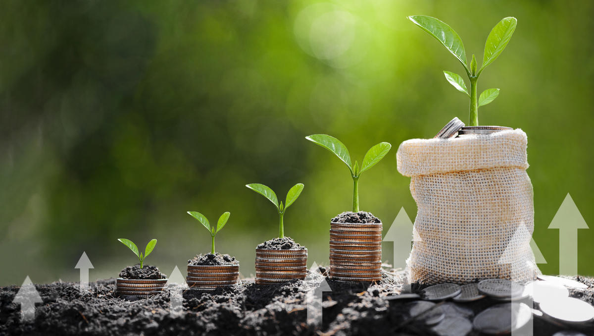 ESG-Trend: „Nachhaltiges Investieren bewirkt wahrscheinlich nichts“