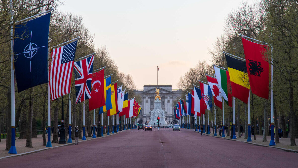 TNT-Produktion in Europa: NATO-Staaten planen neue Fabriken zur Versorgungssicherung