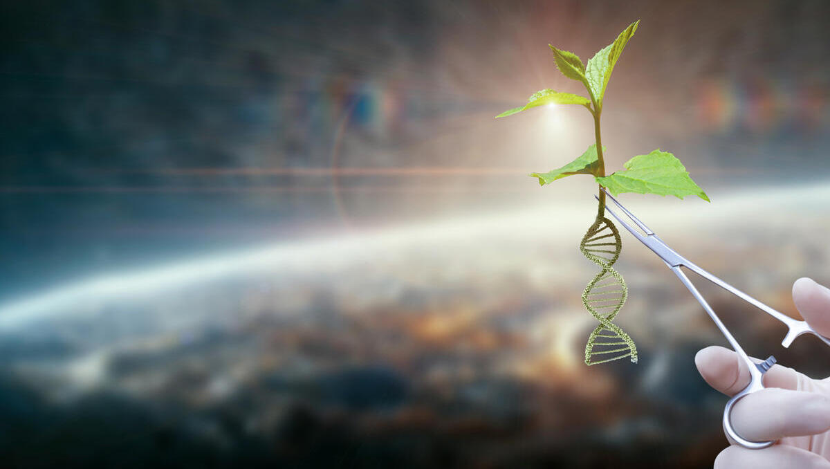 Lockerung der Gentechnik-Regeln im Supermarkt: Was Verbraucher jetzt wissen müssen