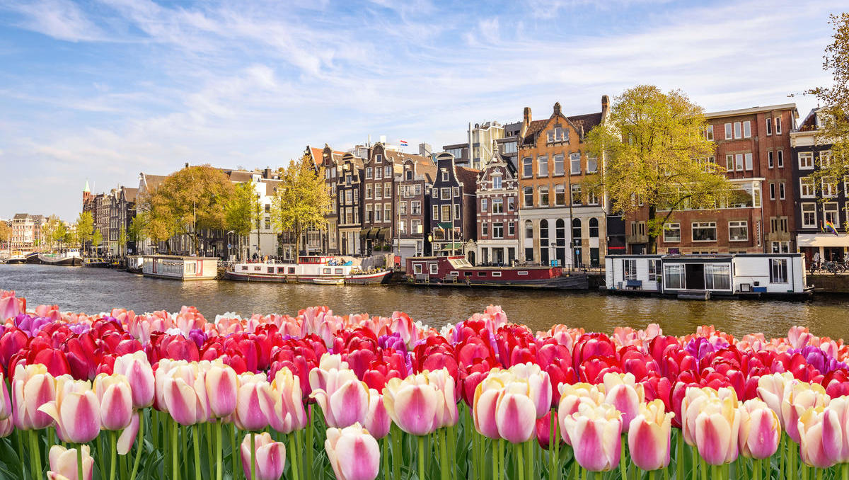 Droht Enteignung? Niederlande plant strenge Einschränkungen beim Immobilienverkauf