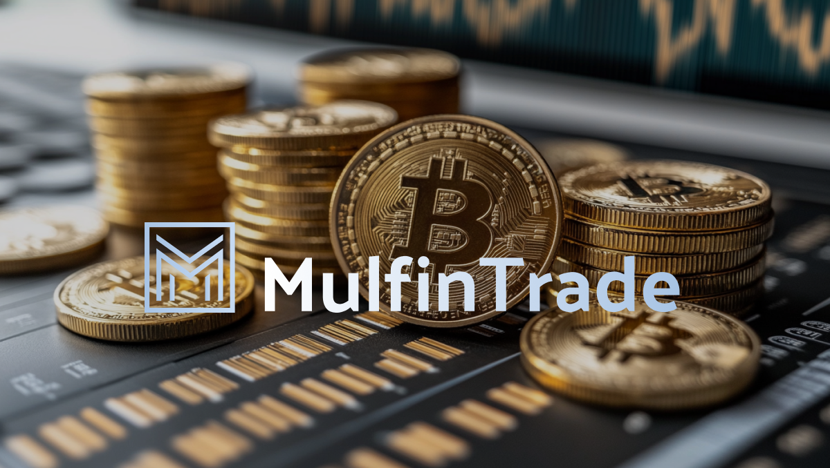 Mulfin Trade: Ein moderner Ansatz und unterstützende Begleitung