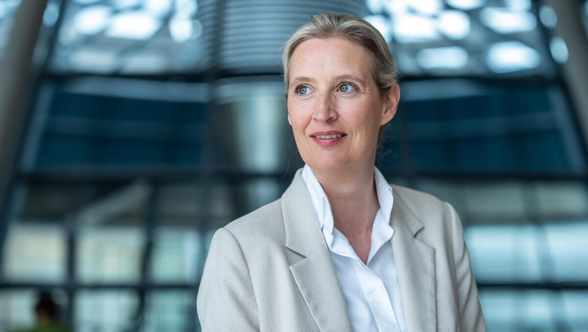 Insa-Politiker-Ranking: Weidel überholt Söder – Merz bleibt Schlusslicht