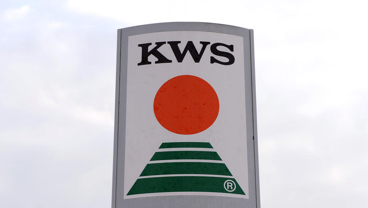 KWS Saat-Aktie: Umsatzprognose gesenkt – wie sollten Anleger nun reagieren?