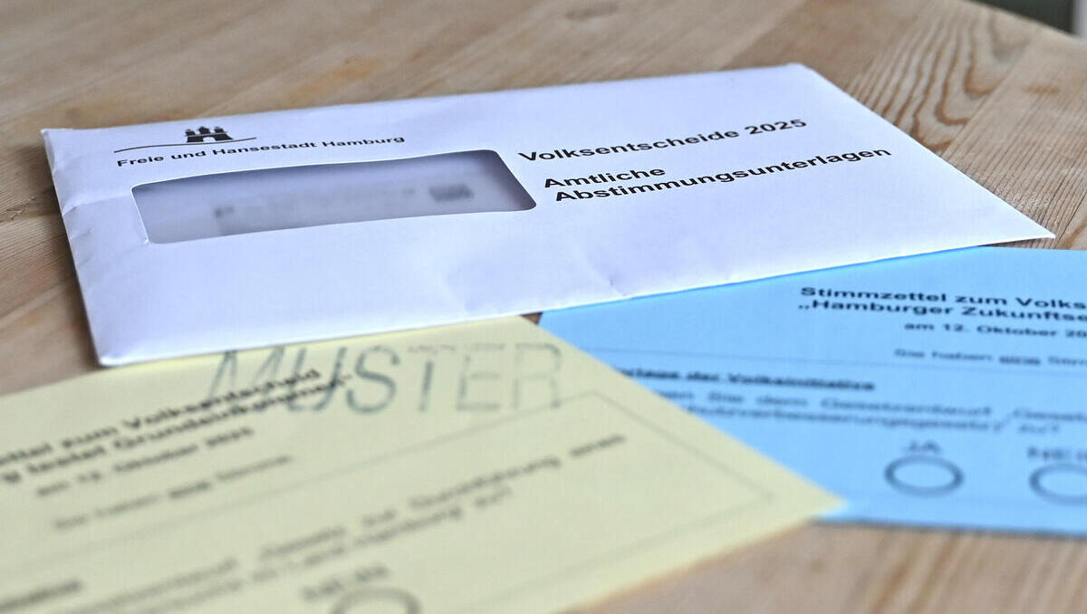 Modellversuch Grundeinkommen: Hamburg vor Volksentscheid