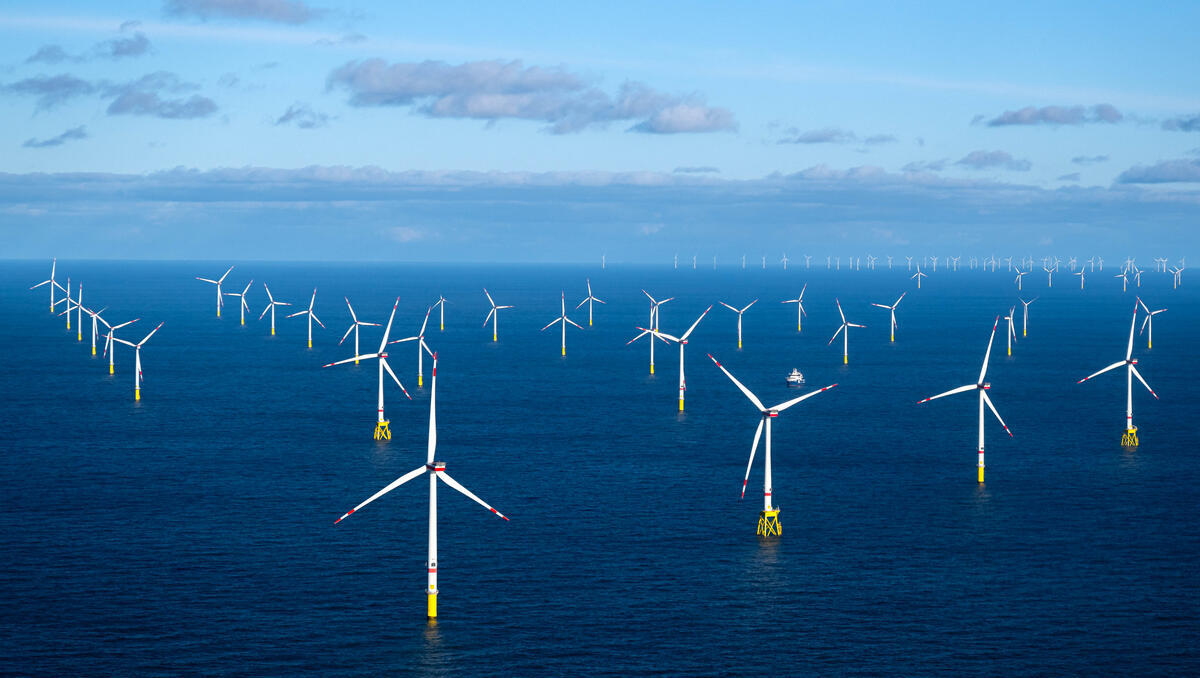 Offshore-Windparks drohen zu stocken: Reiche öffnet Tür für neue Flächenvergaben