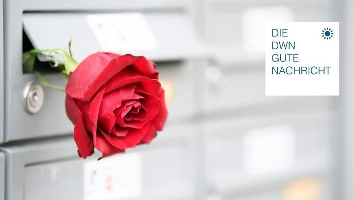 Valentin ausbuchstabiert: Gedanken rund um die Liebe