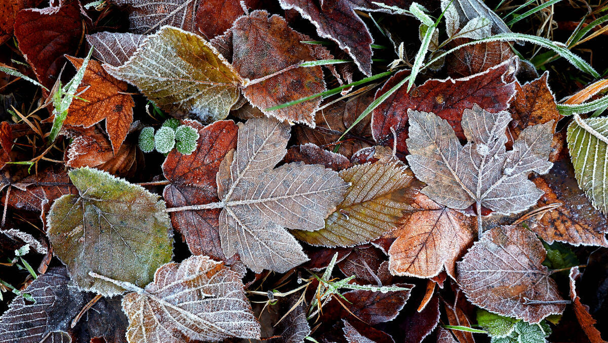 Der September-Fluch: Sollten Anleger davor Angst haben?