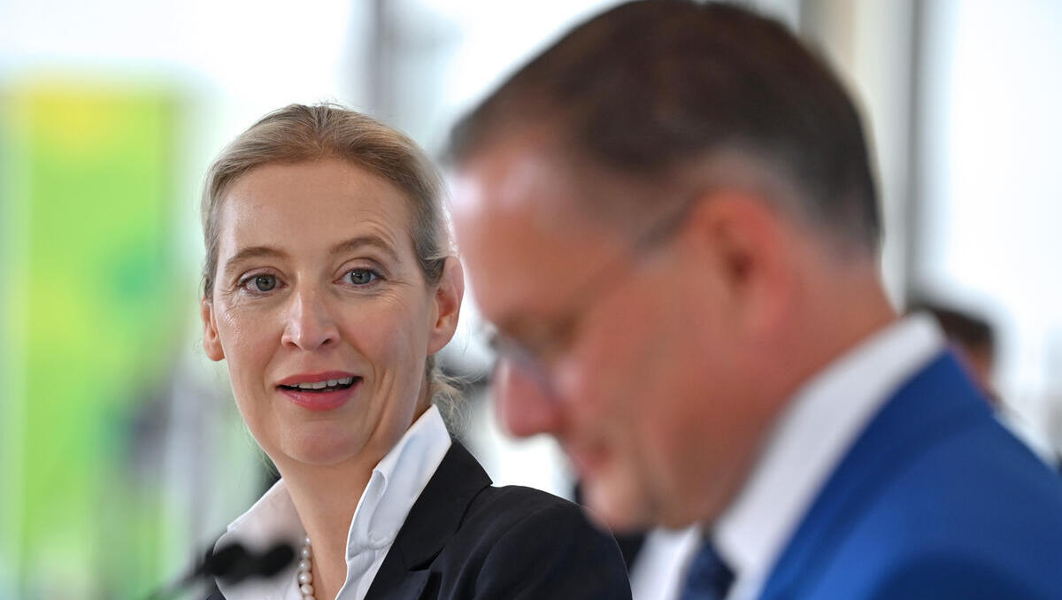 Sonntagsfrage: AfD mit Rekordwert in aktueller Forsa-Umfrage – Tiefpunkt für Schwarz-Rot und Kanzler Merz