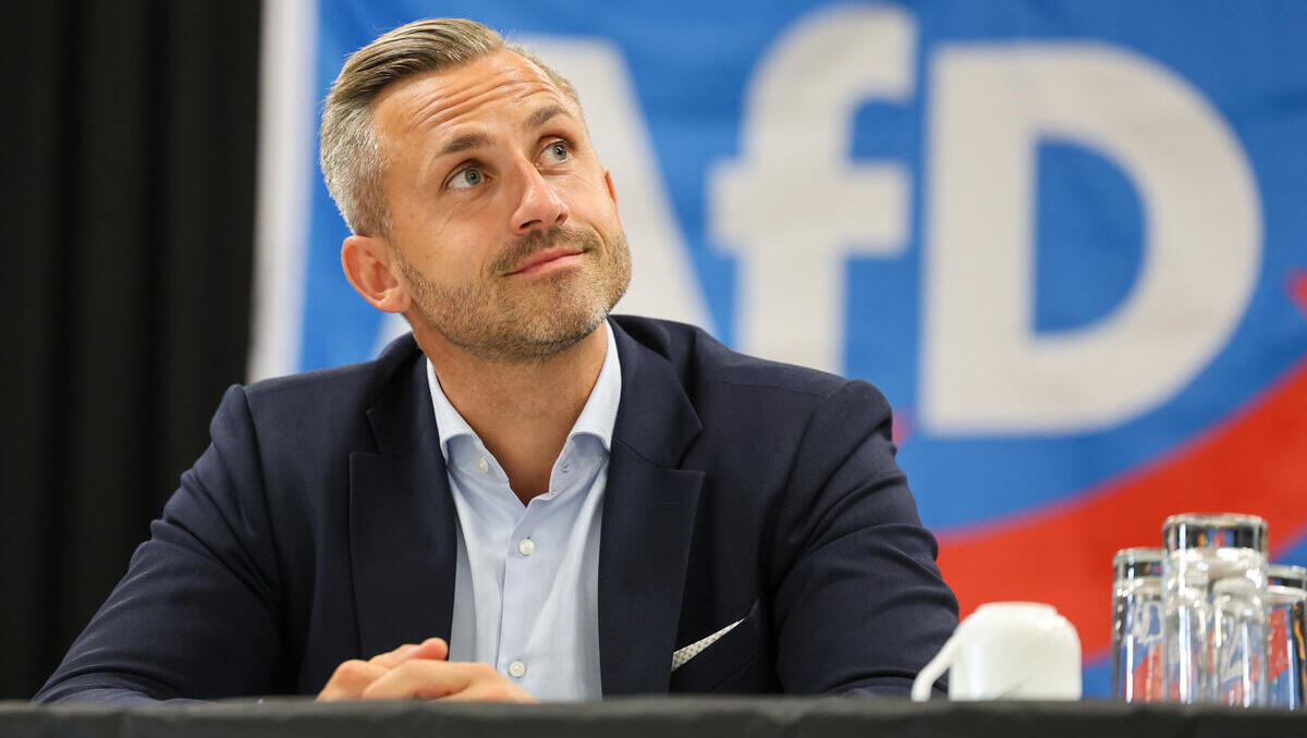 Wahlumfrage Sachsen-Anhalt: Steht die AfD vor einem Wahlsieg? So blickt das Ausland auf Sachsen-Anhalt
