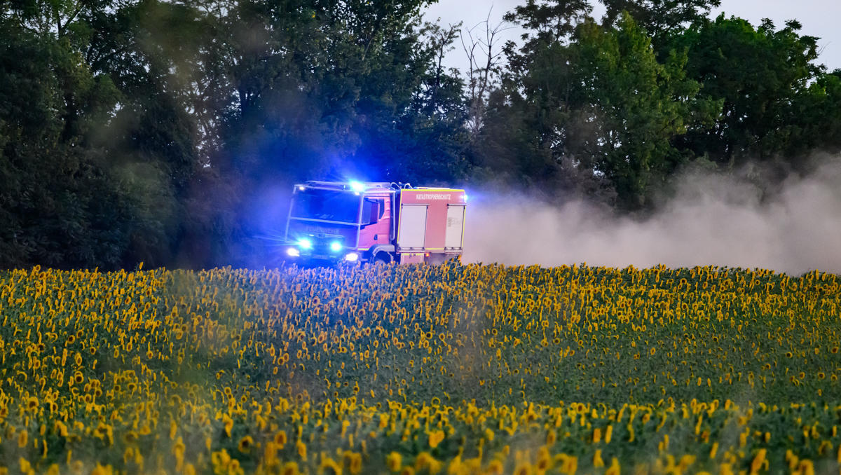 Waldbrand Sachsen: Gohrischheide - über 1.000 Einsatzkräfte im Einsatz