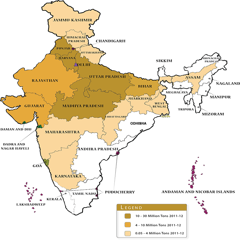 indiens-weizen-exporte-vor-rekord-alternative-zu-russland-und-ukraine